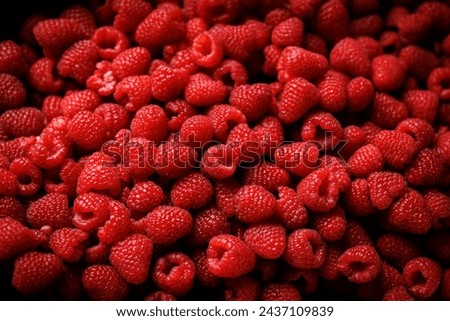 Raspberry background. Top view of berries