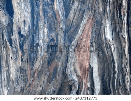 Old tree texture. Bark pattern, For background wood work, Bark of brown hardwood, thick bark hardwood, residential house wood. nature, tree, bark, hardwood, trunk, tree , tree trunk close up texture Royalty-Free Stock Photo #2437112773