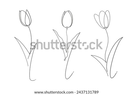Line art, tulips, drawing shapes Simple one line artwork