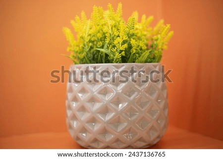 Pot of flowers. Plant in the interior. Flower pot. White vase.