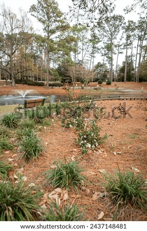 Landscaping at a public park, with bench and lake or pond with a fountain feature and trees in the background. 
