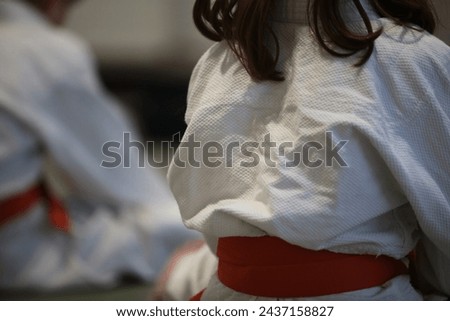 Hamburg, Germany, Aikido Training exercise, Background Picture Royalty-Free Stock Photo #2437158827