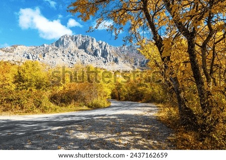 Sunny autumn. Natural scenery. Landscape with high rocky mountains, road and trees with orange leaves. Fall scenes.