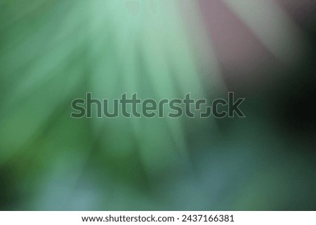 A blurry dreamy view of tropical leaves and plants. Royalty-Free Stock Photo #2437166381