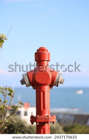 red fire hydrant in the street