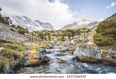 A small mountain river of clear water flows among vegetation and stones in the Fan Mountains in Tajikistan against the backdrop of rocky mountains and glaciers