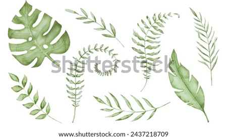 Tropical Leaves Set Watercolor clip art. Hand drawn on isolated white background. Drawing of monstera leaf and palm trees. Illustration of exotic jungle plants. Summer green branches.