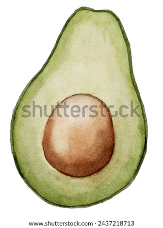 Avocado Watercolor illustration. Hand drawn clip art on isolated white background. Drawing of Half a Fruit with a seed. Vegetable botanical painting for food packaging design. Sketch of a plant.