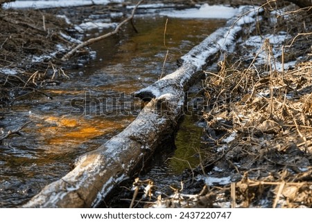 A snowy log lies across a partially frozen stream in a tranquil winter woodland. Royalty-Free Stock Photo #2437220747