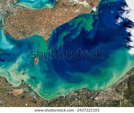 Toxic Algae Bloom in Lake Erie. Algae covers much of Lake Eries western basin in these images, taken in early October 2011, when one the. Elements of this image furnished by NASA.