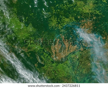 Fires and smoke in Mato Grosso State, Brazil. . Elements of this image furnished by NASA.