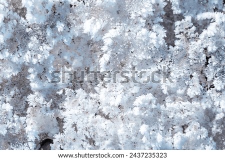 Frost. Beautiful snow patterns and for close-up as a background