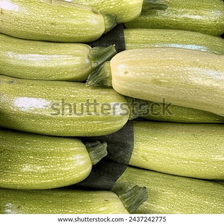 Macro photo vegetable zucchini. Stock photo organic zucchini background