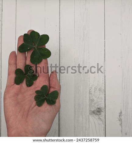 Saint Patrick´ day background, three clovers on hands, white wood background, left side.jpg
