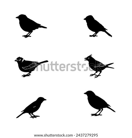 most popular black bird silhouette 