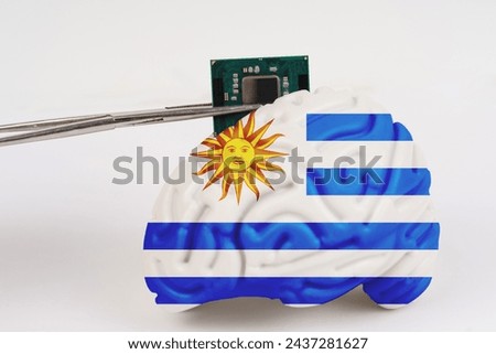 On a white background, a model of the brain with a picture of a flag - Uruguay, a microcircuit, a processor, is implanted into it. Close-up