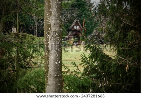 The witch's house in the forest Royalty-Free Stock Photo #2437281663