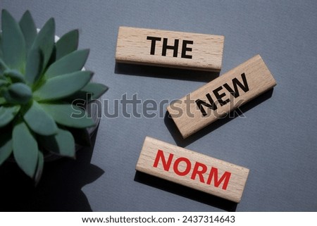 The new norm symbol. Concept words The new norm on wooden blocks. Beautiful grey background with succulent plant. Business and The new norm concept. Copy space. Royalty-Free Stock Photo #2437314643