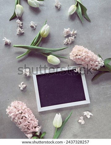 A blank blackboard picture frame surrounded by fragrant spring flowers, white tulips and pink hyacinth.