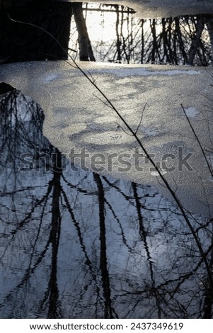 Abstract tree reflections in half frozen water in a dark forest during sunset Royalty-Free Stock Photo #2437349619
