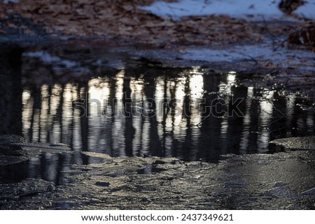 Abstract tree reflections in half frozen water in a dark forest during sunset Royalty-Free Stock Photo #2437349621