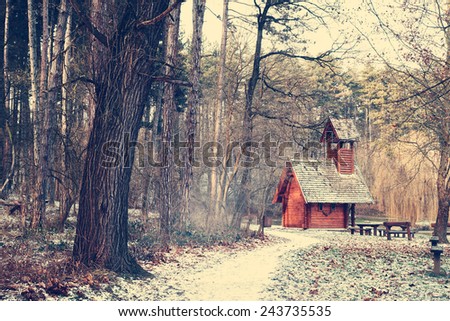 Wood house in the forest