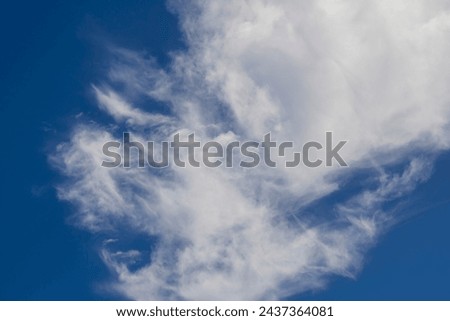 Fluffy white cumulus clouds with some cumulostratus formations on a late summer afternoon are contrasted against the azure blue Australian sky.  Royalty-Free Stock Photo #2437364081