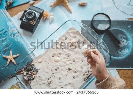 Idea for an activity with a child with sand and shells, learning geography.