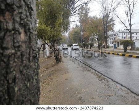 In this picture, Rain, road, trees 