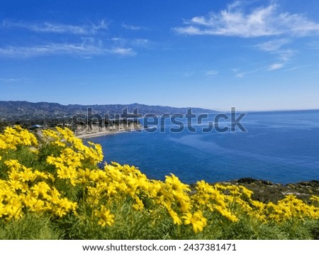 Scenic Ocean view from the top of Point Dume Natural Preserve, Malibu, California Royalty-Free Stock Photo #2437381471
