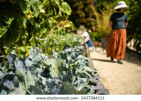 kids in garden, family in a vegetable patch. toddler picking food. summer time in the veggie garden with mother and child Royalty-Free Stock Photo #2437384111
