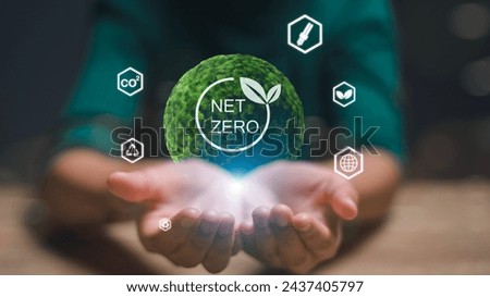 A person is holding a green ball with the word Net Zero written on it. Concept of environmental sustainability and the importance of reducing carbon emissions