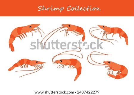 shrimp vector illustration set. Cute shrimp isolated on white background.