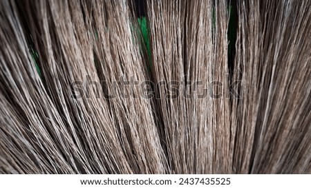 Close up photo of a palm fibre broom