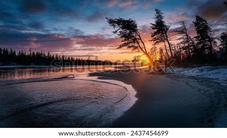 A beautiful sunset scene on a serene beach in the taiga. The sun is sinking below the horizon, casting a warm light on the sand and the river. The fir trees gently sway in the wind, silhouetted 