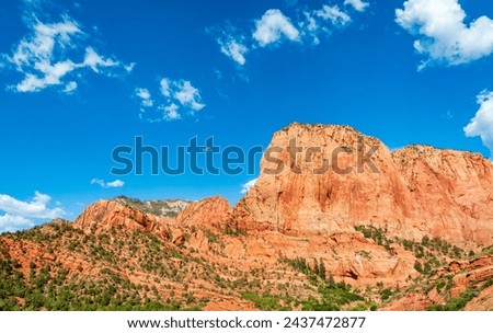 Zion National Park in Utah, USA