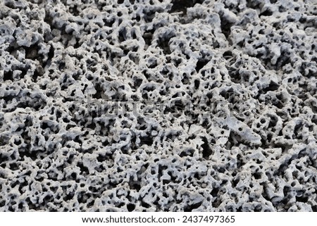 perforated beach rock. Spongy rock formation at sea side.  Royalty-Free Stock Photo #2437497365