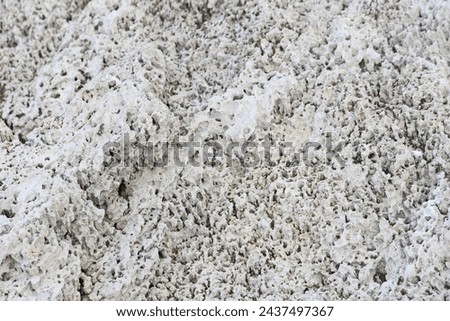 perforated beach rock. Spongy rock formation at sea side.  Royalty-Free Stock Photo #2437497367