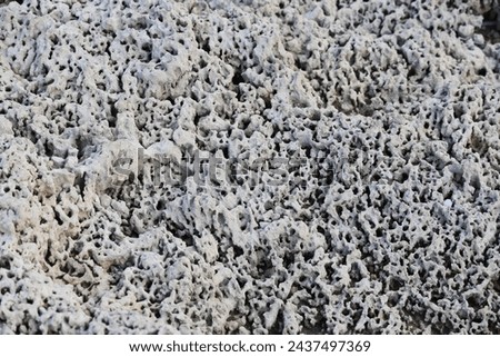 perforated beach rock. Spongy rock formation at sea side.  Royalty-Free Stock Photo #2437497369