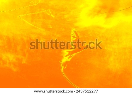 Flying orange bird, "Phoenix", orange and yellow abstract background, color photo, NO AI
