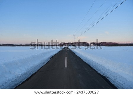 lonely road in snow hokkaido japan countryside. High quality photo  Royalty-Free Stock Photo #2437539029