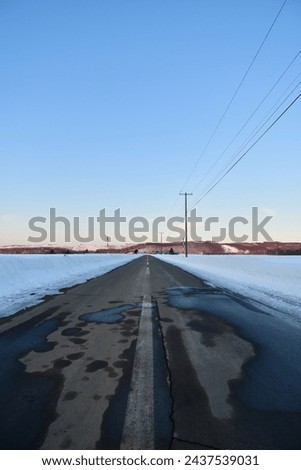 lonely road in snow hokkaido japan countryside. High quality photo  Royalty-Free Stock Photo #2437539031