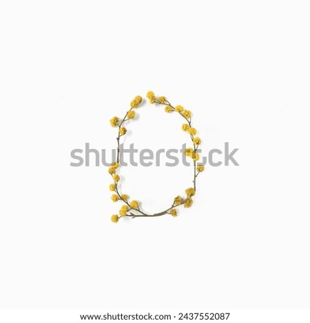 Flower letters. Letter O made from flowers mimosa yellow. Minimalism. Flower alphabet layout. Flat lay