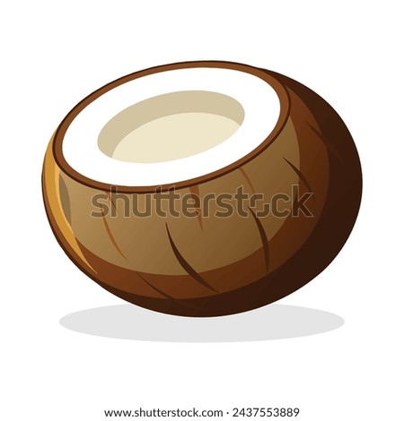 Coconut isolated flat vector illustration