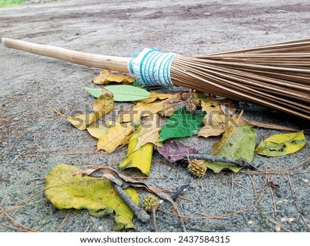 broom sticks, a cleaning tool made from coconut and palm sticks for sweeping the yard