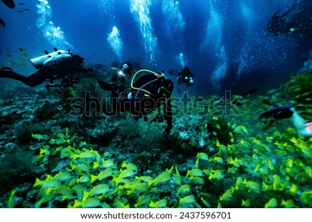 This photo is about scuba diving in the Maldives Islands. Starting from Male Airport, the photos range from underwater shots to mermaid shots by boat. This photo is about scuba diving in the Maldives Royalty-Free Stock Photo #2437596701