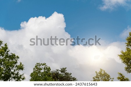 Looking up at the treetop and sky Royalty-Free Stock Photo #2437615643