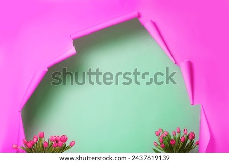 Pink torn paper background with green border and tulips. Photo zone for a spring photo shoot.