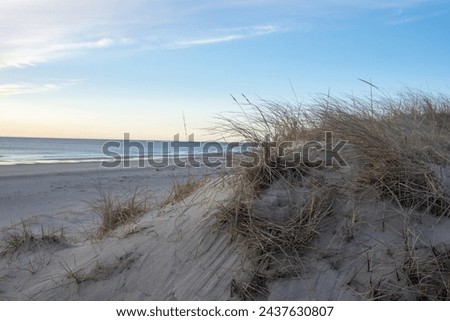 Sand Dunes at Nauset Beach in the Morning