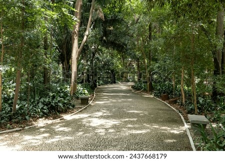Trianon Park on Av. Paulista in São Paulo, SP, Brazil. Main avenue of the city. Royalty-Free Stock Photo #2437668179